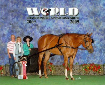 2009 World Appaloosa Show